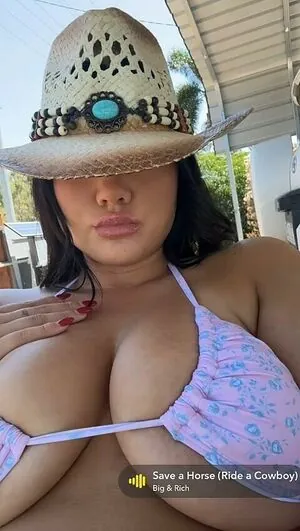 Setieva York content