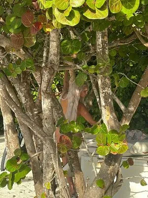 Sab Zada aka Pasabist Nude Leaked OnlyFans - Fapgosu