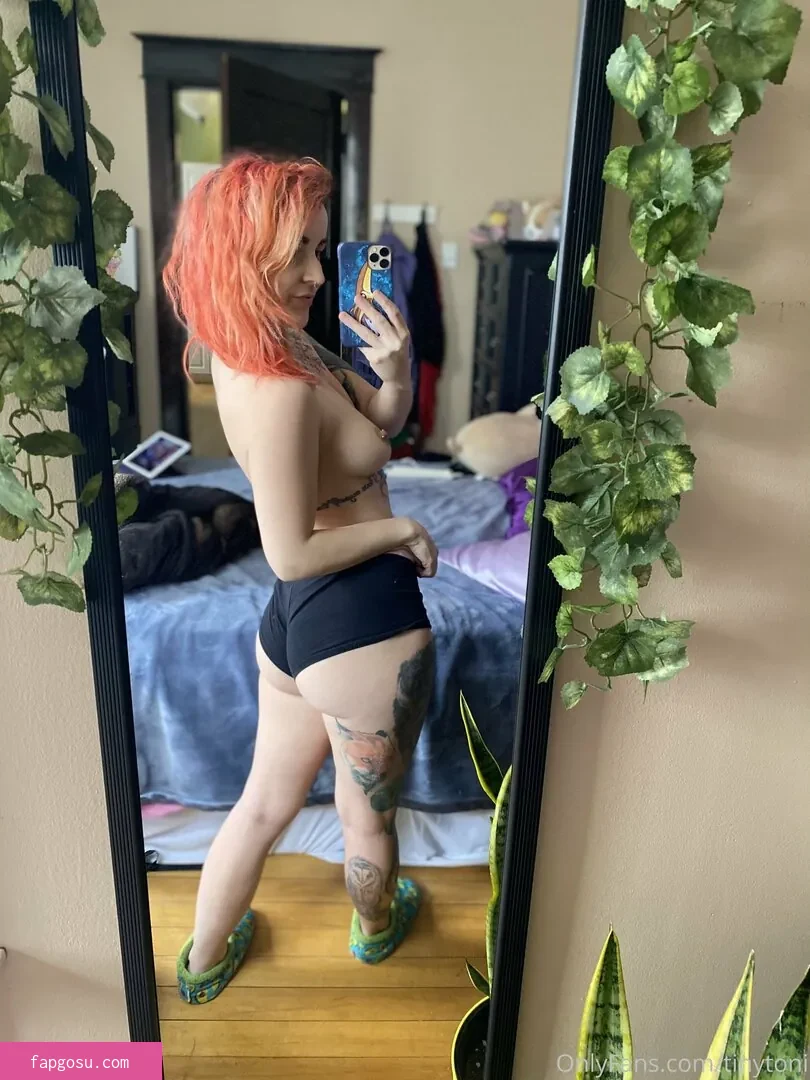 tinytoni