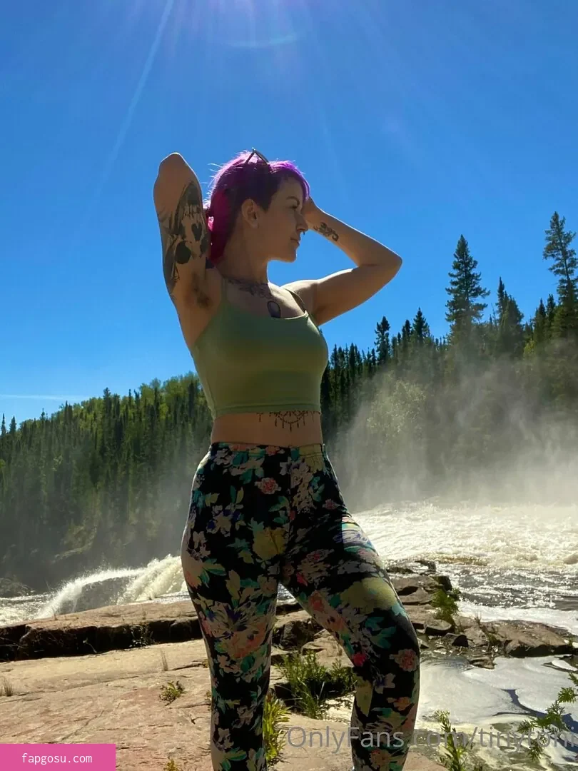 tinytoni