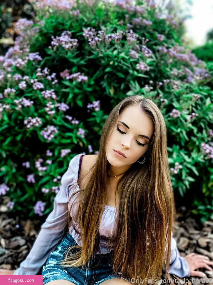 taylorherd02
