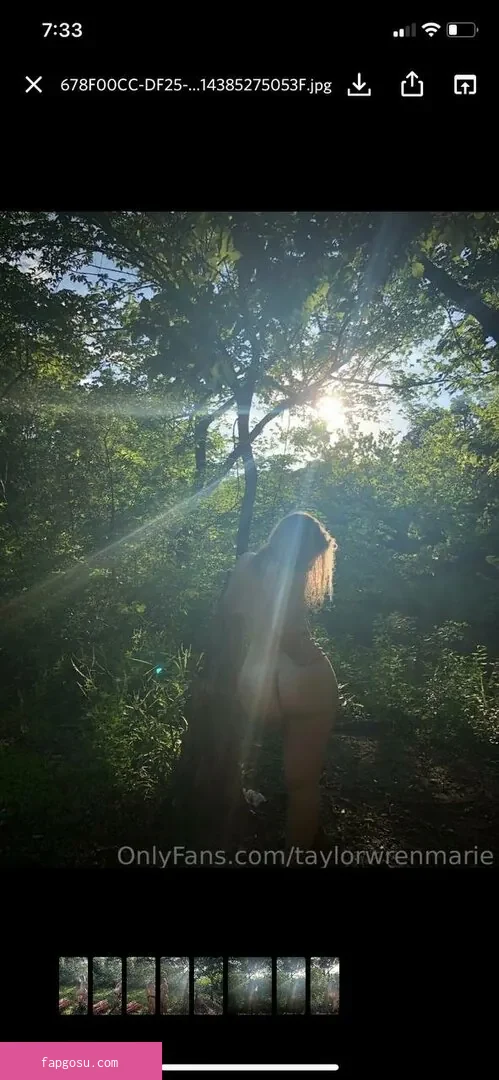 taylorwrenmarie