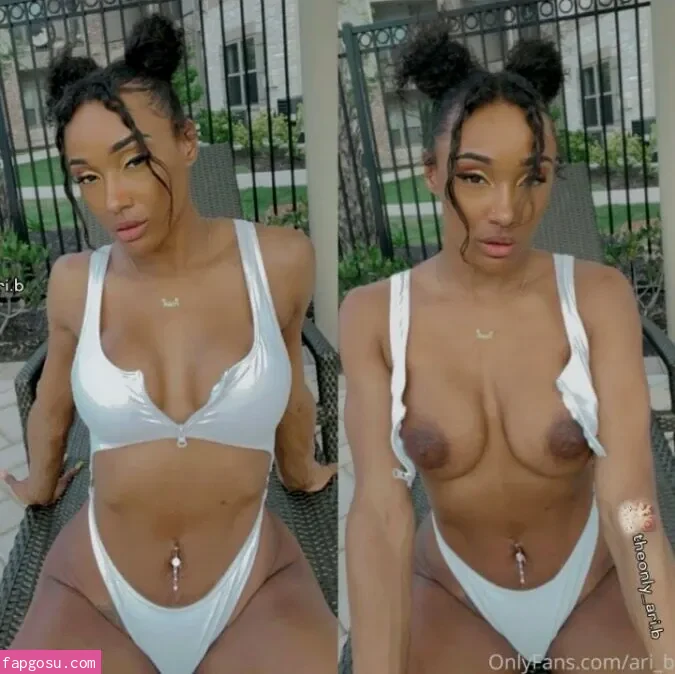 theonly_ari.b