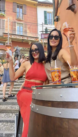 The Bella Twins: content