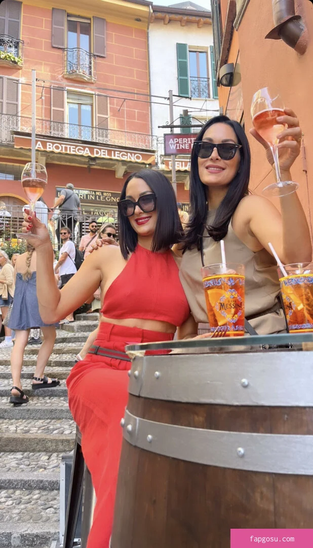 The Bella Twins:
