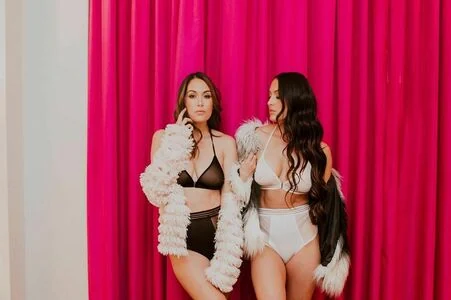 The Bella Twins: content