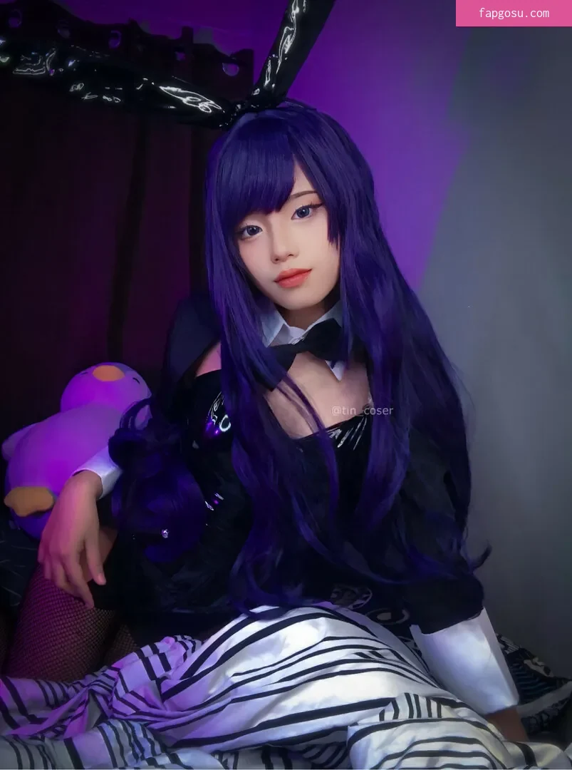 tin_coser