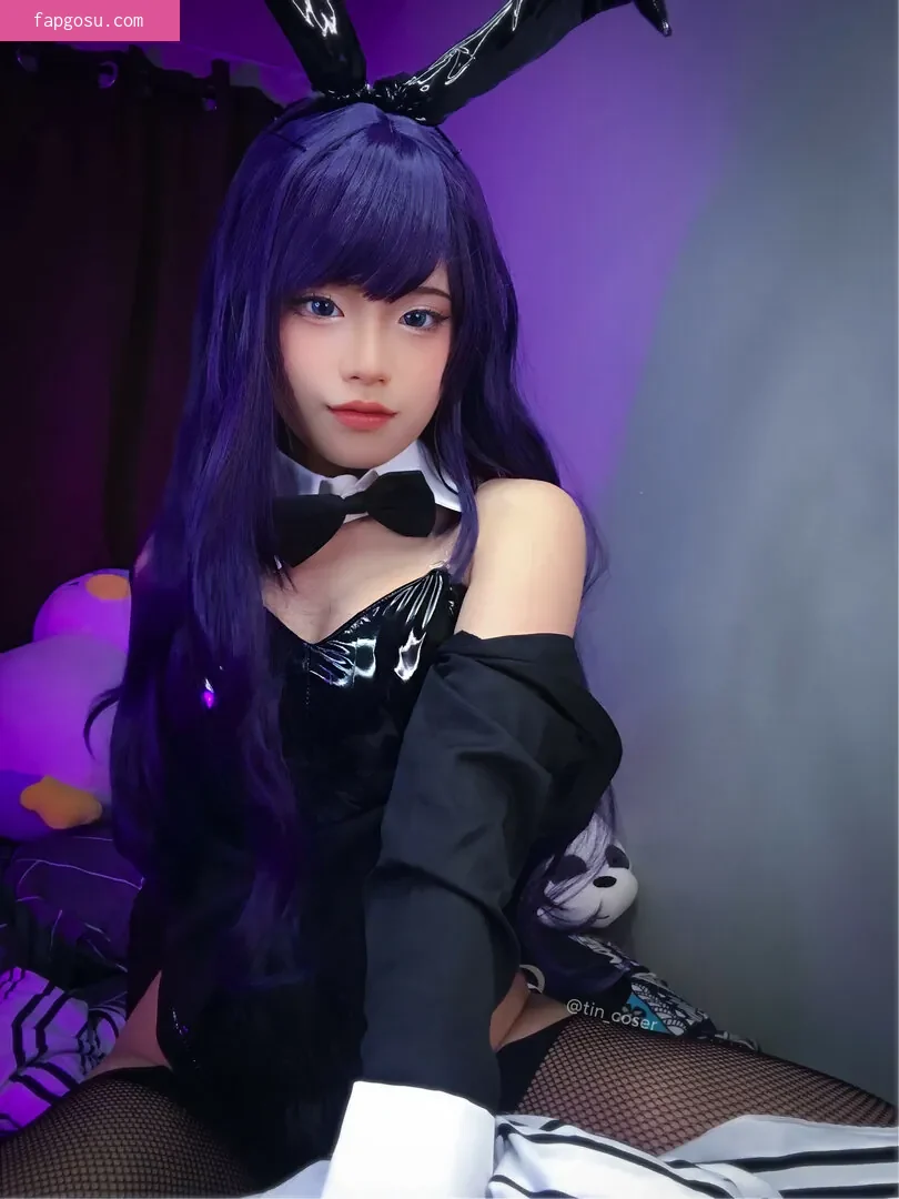 tin_coser