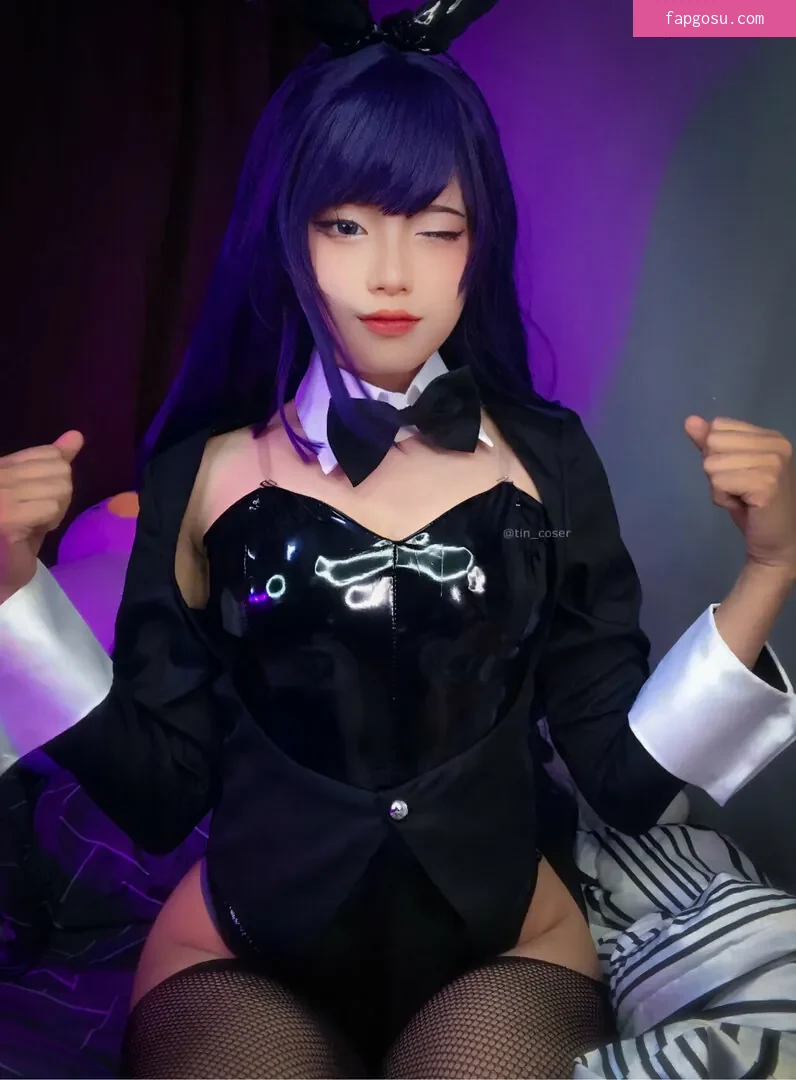 tin_coser