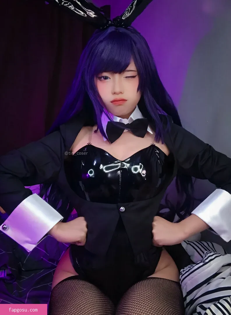 tin_coser