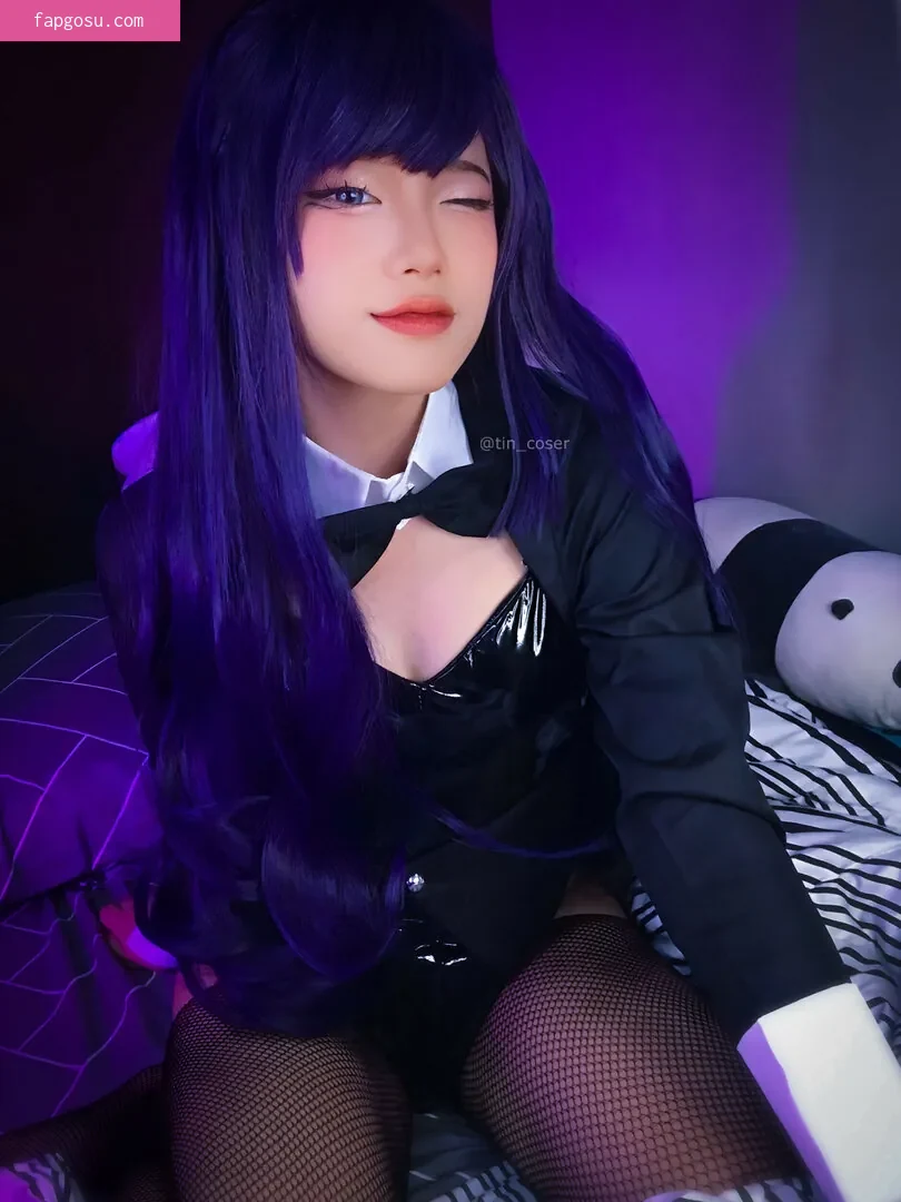 tin_coser