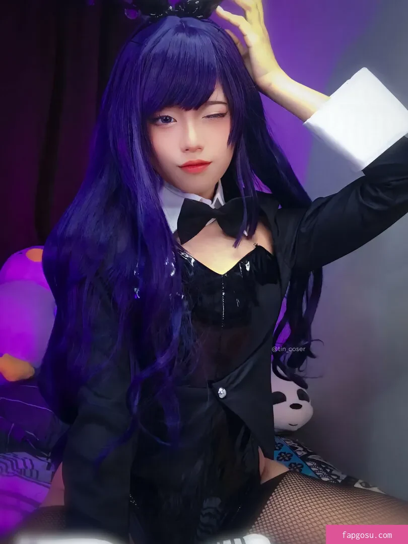 tin_coser