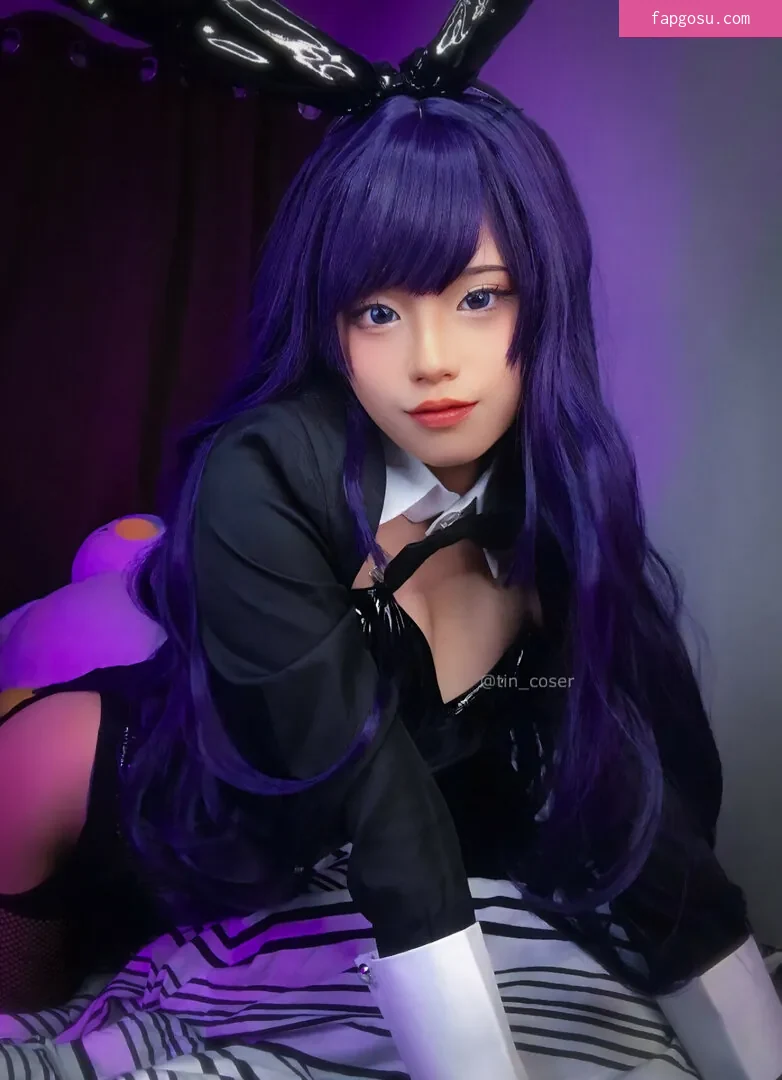 tin_coser