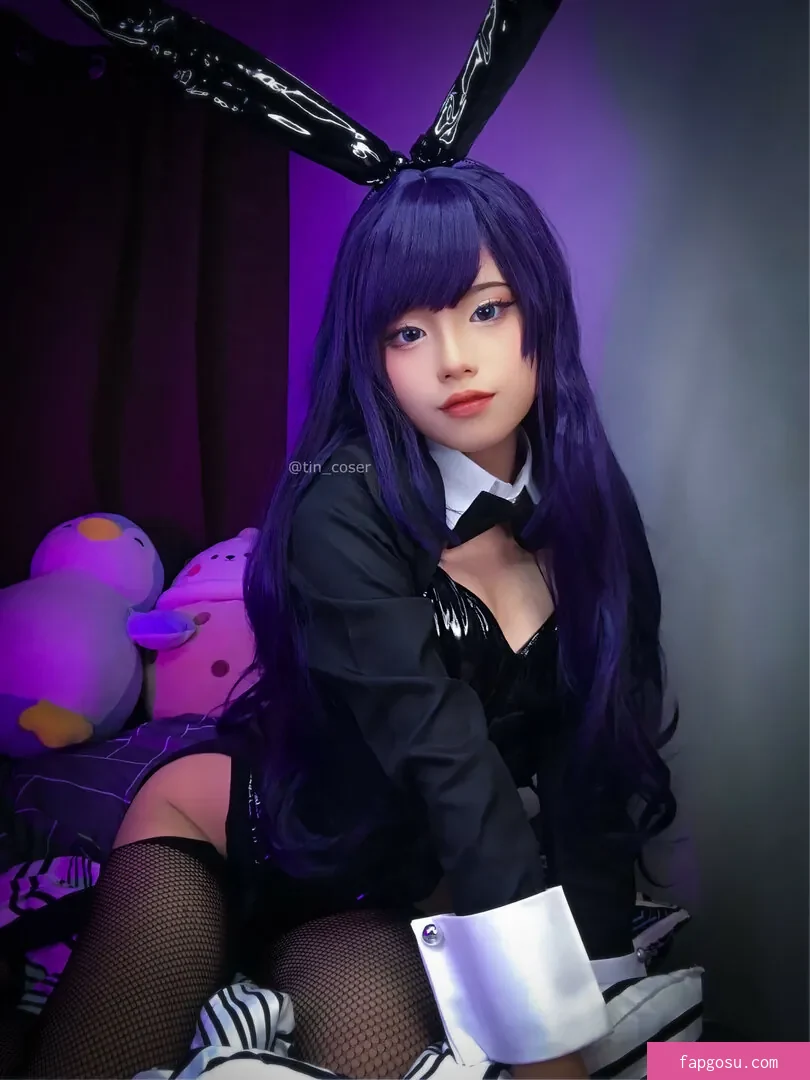 tin_coser