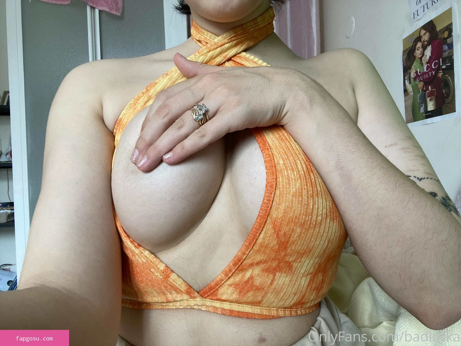 Trinadest Elisa