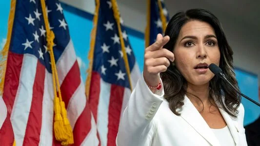 Tulsi Gabbard content