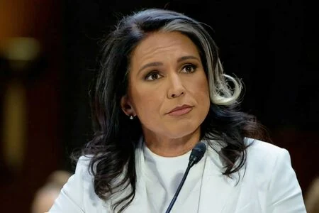 Tulsi Gabbard content