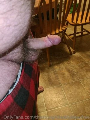 thestraightteddybearfree content