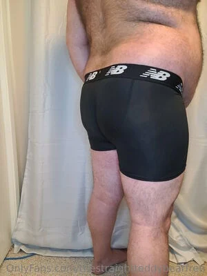 thestraightteddybearfree content