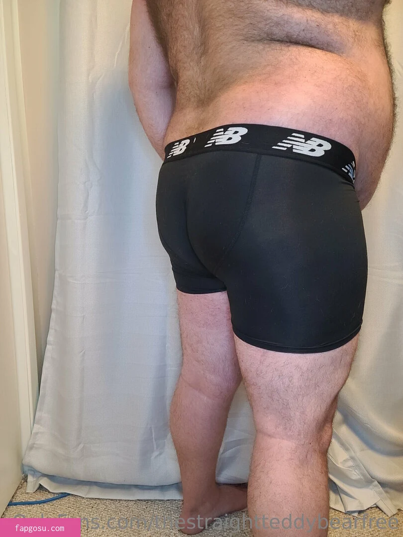 thestraightteddybearfree