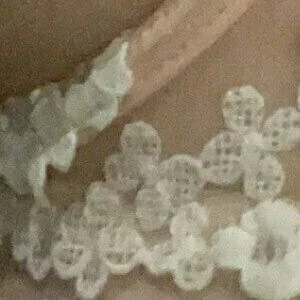 thislxlita