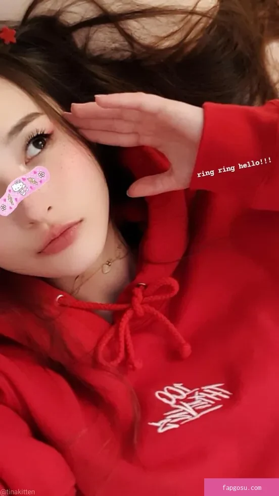 Tinakitten