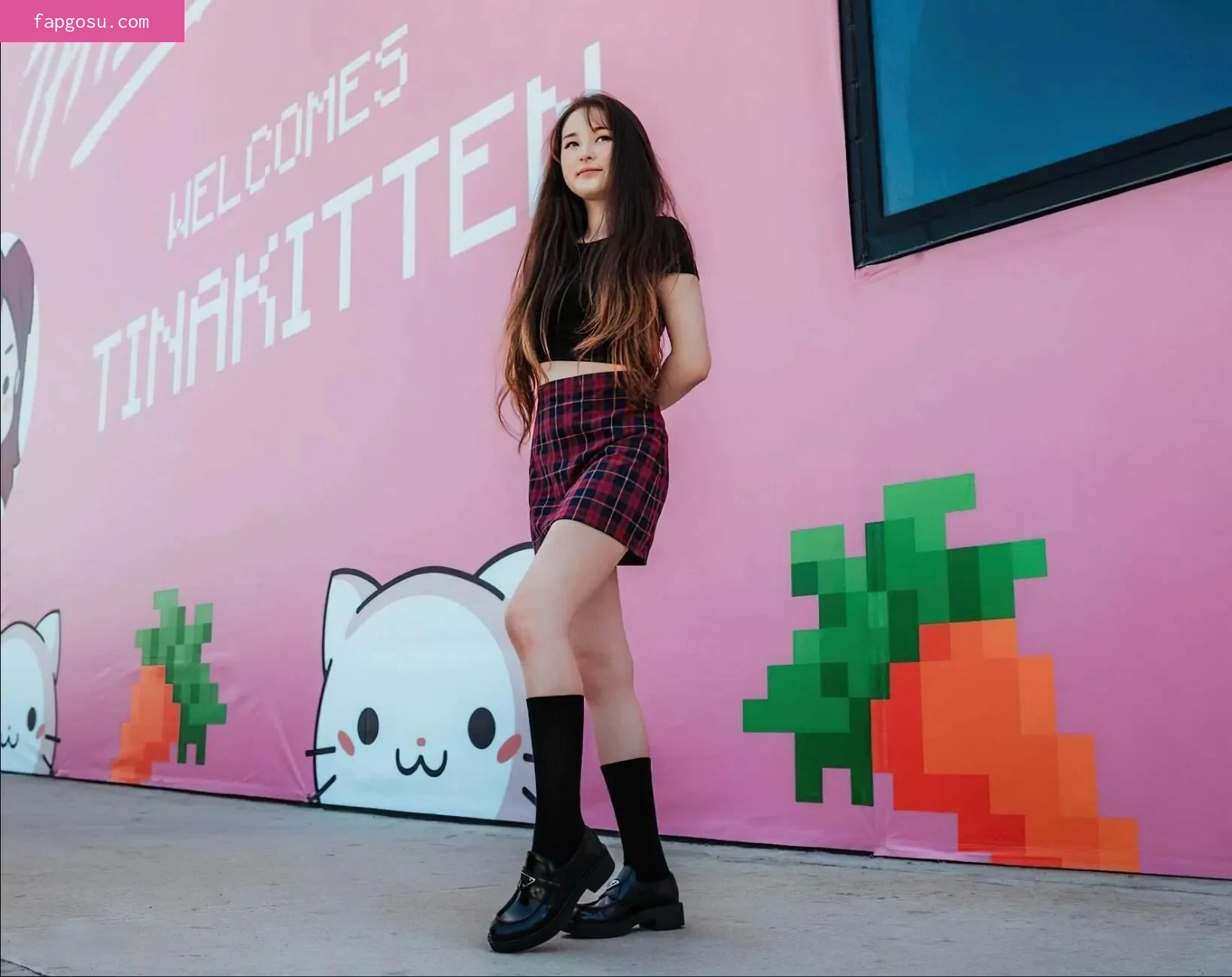 Tinakitten