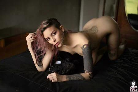 Tinta Nankin content