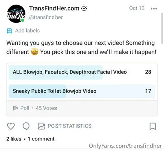 transfindher content