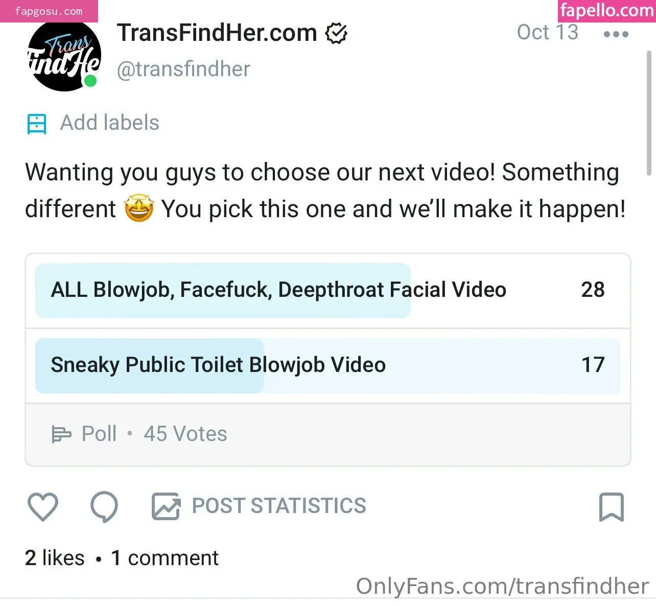 transfindher