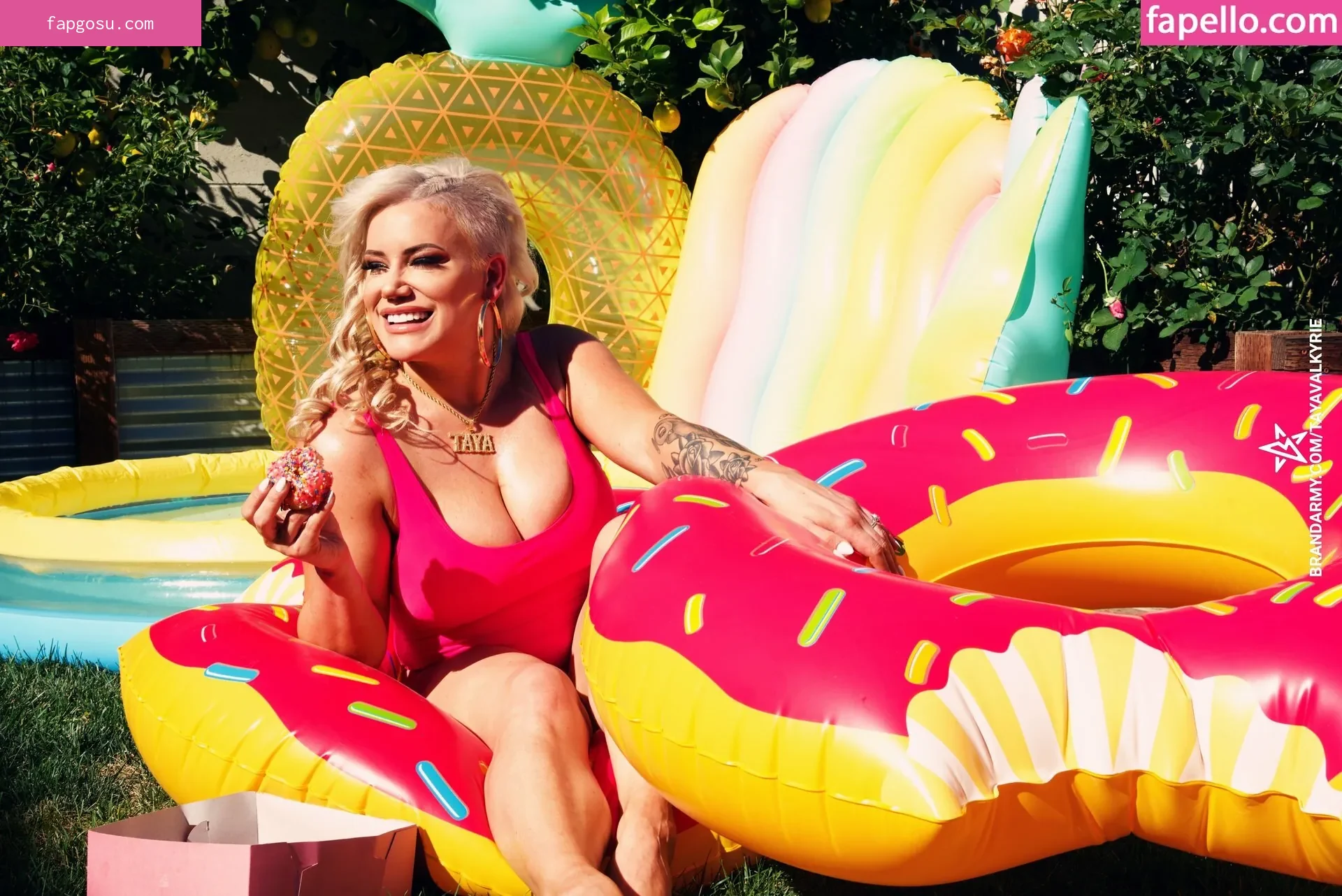 Taya Valkyrie