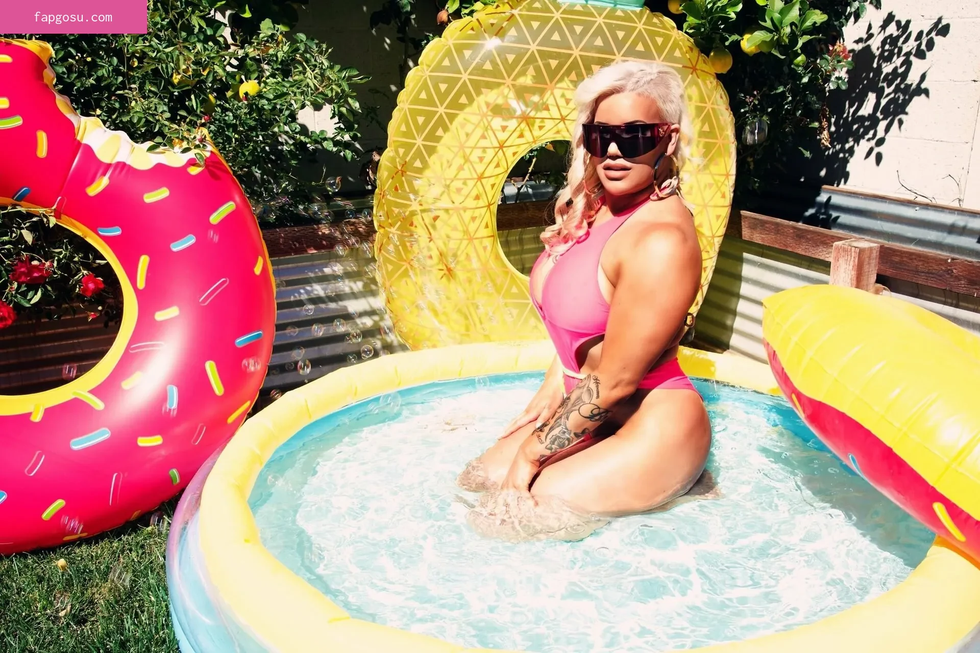 Taya Valkyrie