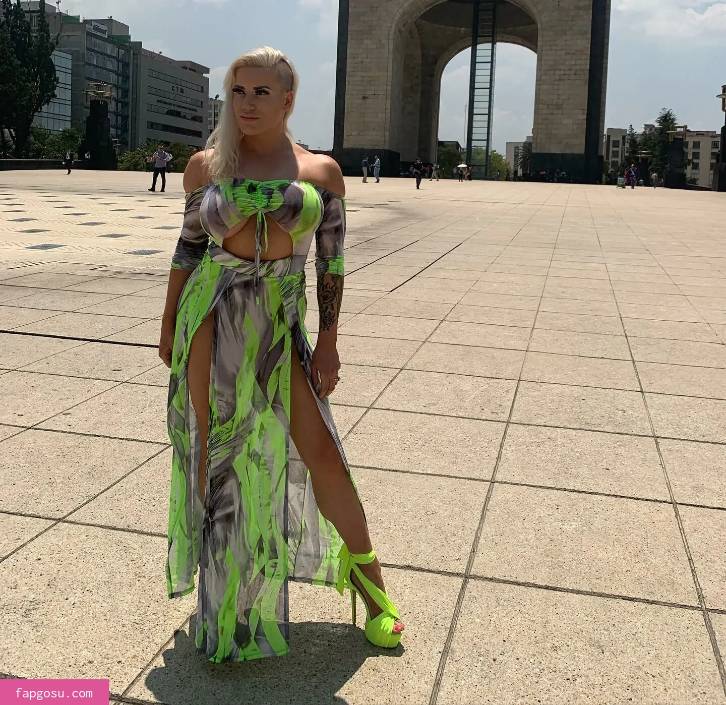 Taya Valkyrie