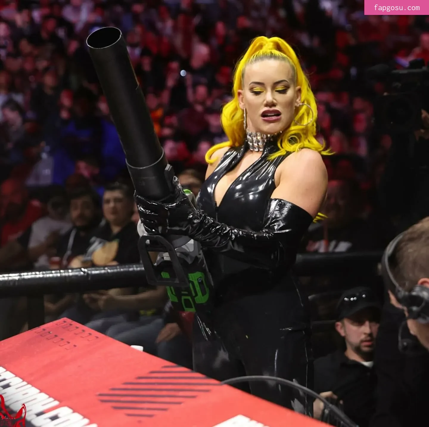 Taya Valkyrie