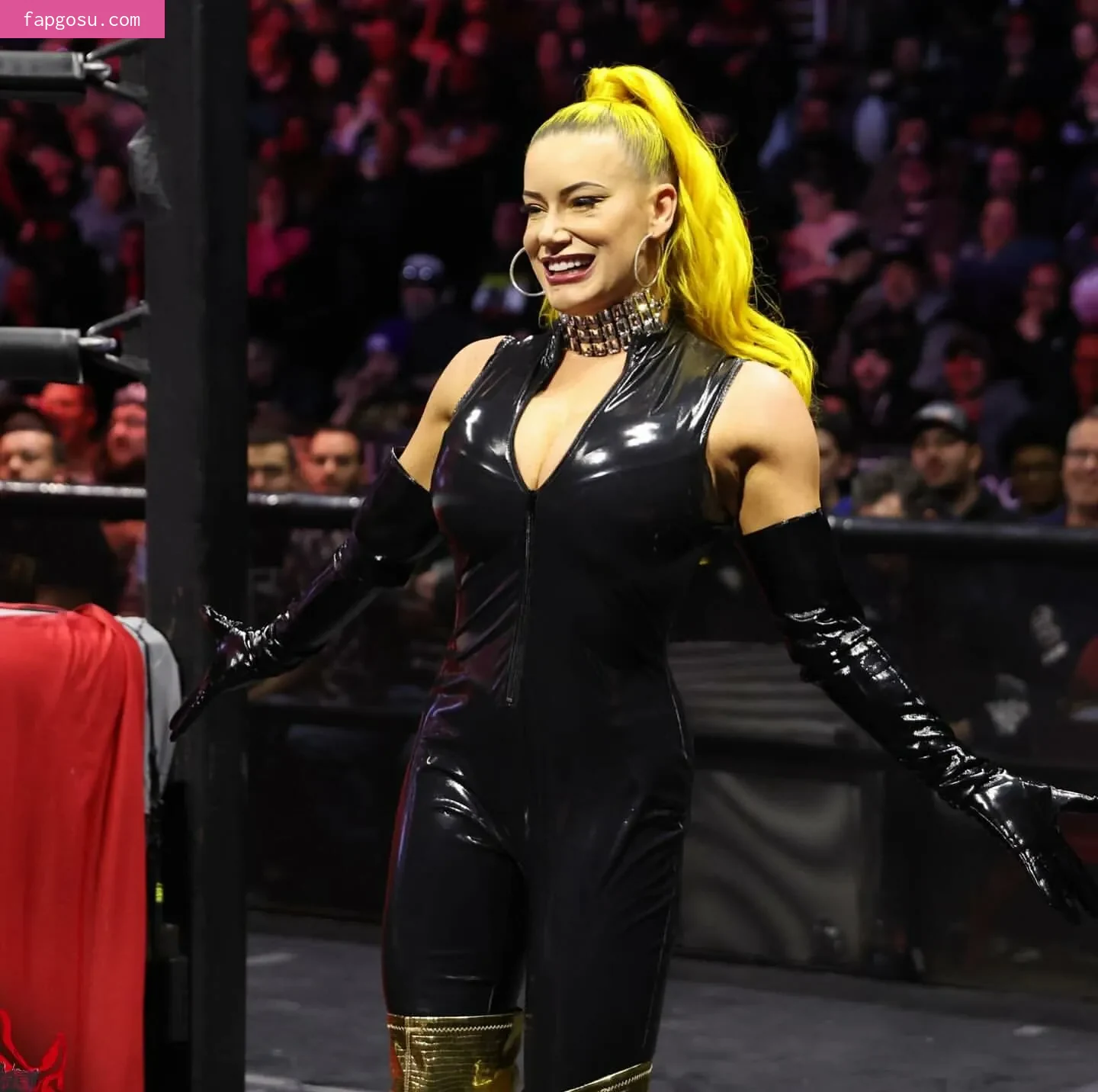 Taya Valkyrie