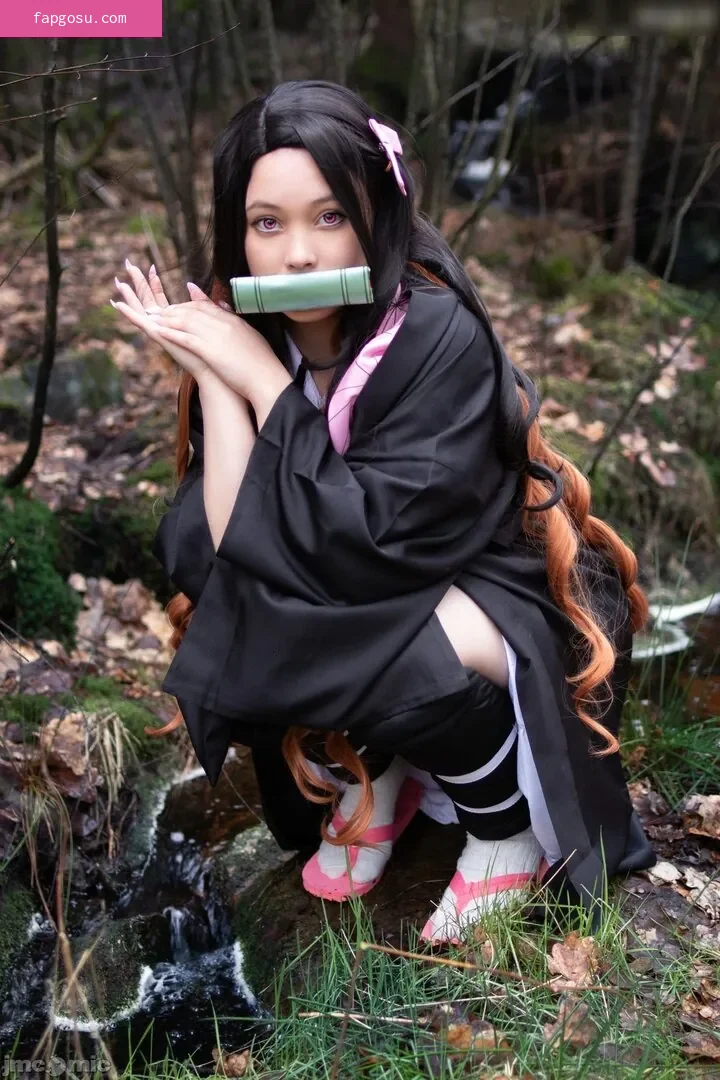 Virtual Geisha