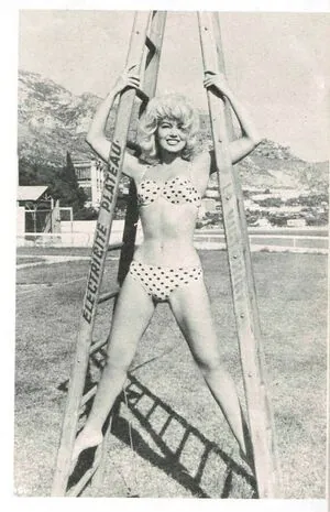 Vintage Sexy Celebs content