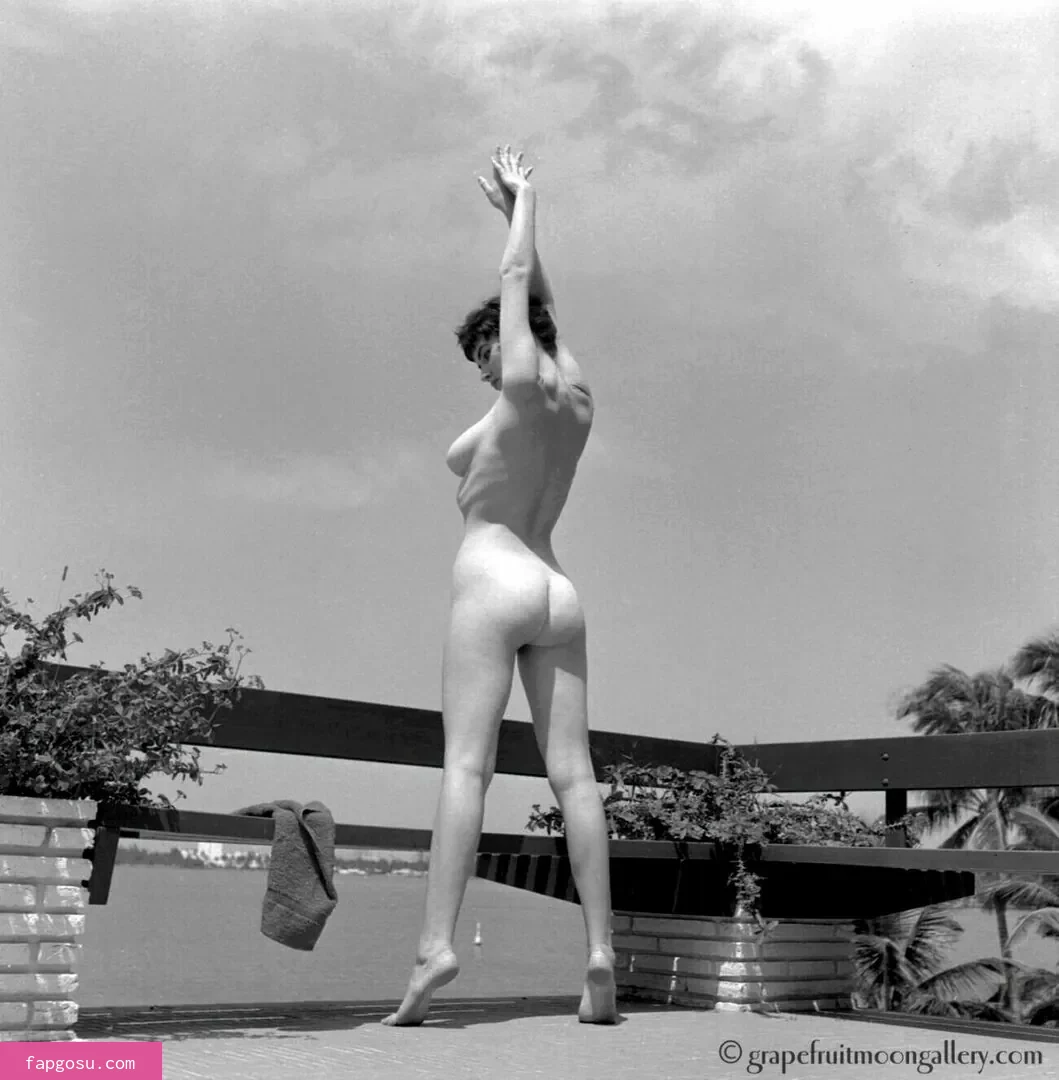 Vintage Starlets