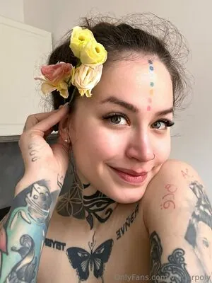 vulgarpoly content