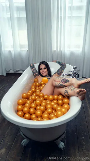 vulgarpoly content