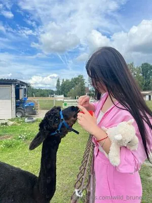 wild_brunette content
