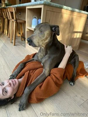 whitney content