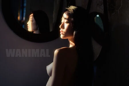 Wanimal Models content