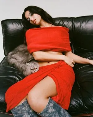 Wolfiecindy