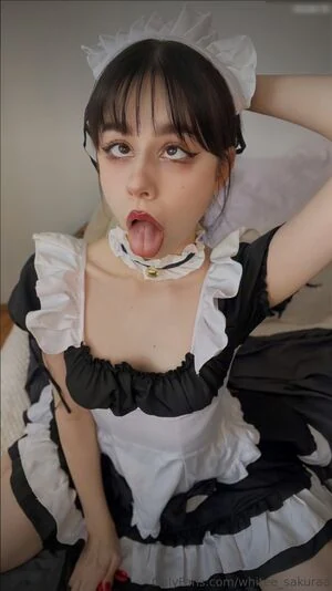 White Sakura content