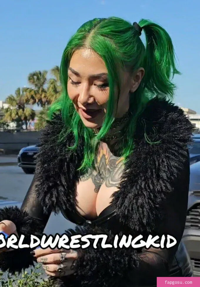 WWE Shotzi