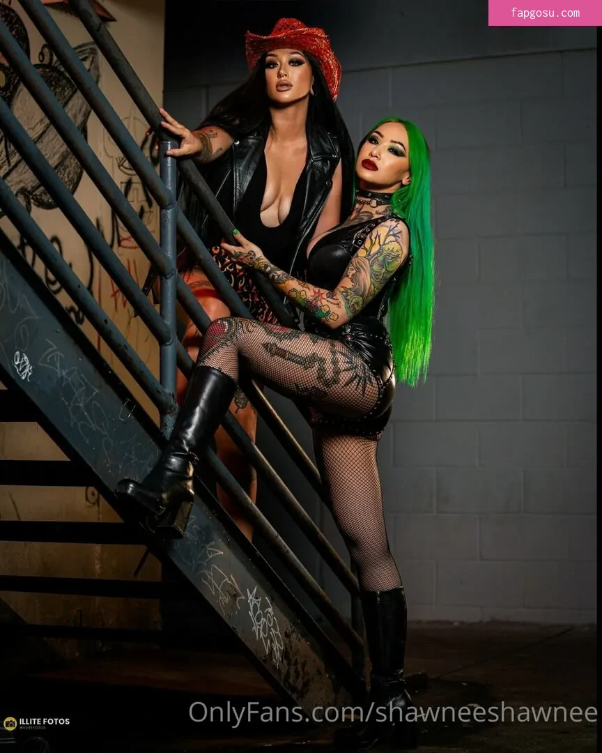 WWE Shotzi