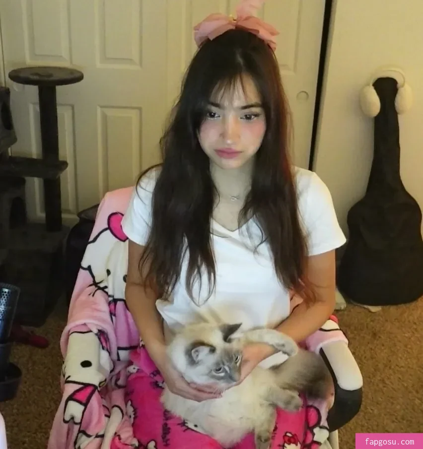 xmisabear / misabear