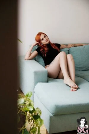 Xune SG content
