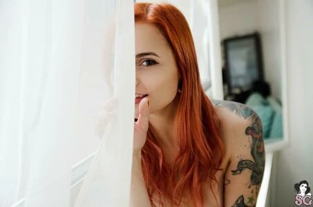 Xune SG content
